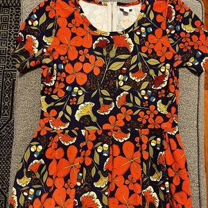 LulaRoe Amelia dress, great colors for fall!